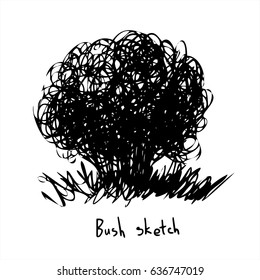 Abstract bush sketch.  Black and white hand drawn vector illustration. 