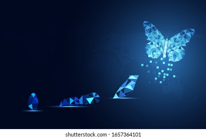 Abstract Business digital transformation innovative of butterfly life cycle evolution blue background. Renewal and Powerful transformation metamorphosis concept. Lightness of being and playfulness