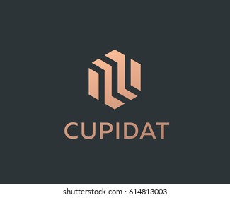 Abstract business premium logo design template. Hexagon real estate finance universal vector logo icon