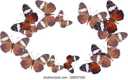 Abstract butterflies background