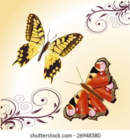 abstract butterfly floral background