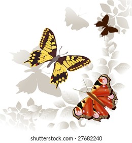 abstract butterfly floral background