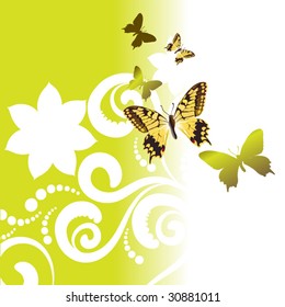 abstract butterfly floral background