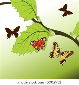 abstract butterfly floral background