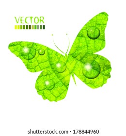 Abstract butterfly green leaf. protection of nature. Vector