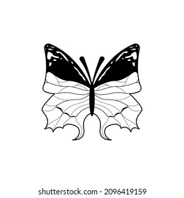 Abstract Butterfly Insect Doodle Outline Vector Design Style
