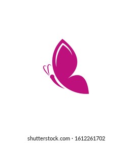 abstract butterfly logo design. butterfly vector illustration, symbol icon.