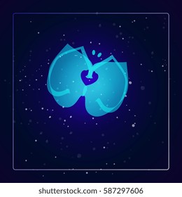 Abstract butterfly logo on a cosmic background. Vector illustration.