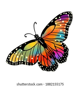 The abstract butterfly is multicolored. Vector illustration