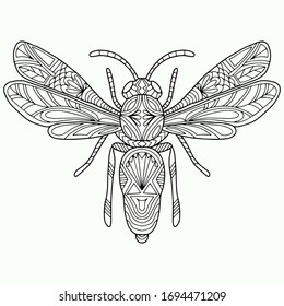 abstract butterfly with ornaments drawn on a white background for coloring, vector, insect, coloring book