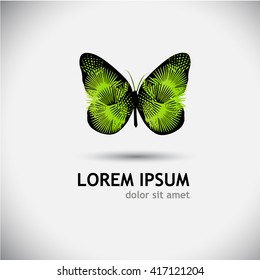abstract butterfly of palm leaves. Vector