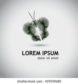 abstract butterfly of palm leaves. Vector