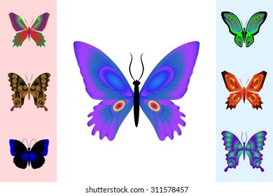 Abstract butterfly set. Vector illustration 