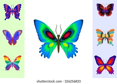 Abstract butterfly set. Vector illustration