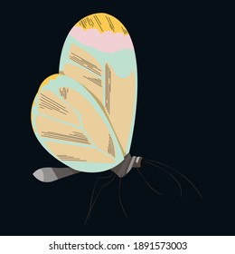 Abstract butterfly with strange colored wings on a dark blue background. Vector flat illustration