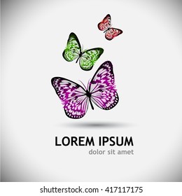 abstract butterfly. Vector