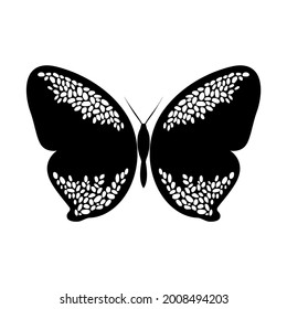 abstract butterfly vector template design.butterfly vector in black and white color. logo template, minimal, vector, simplified object- illustration