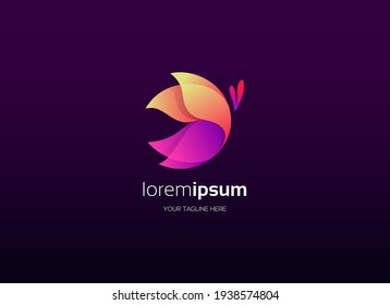Abstract butterly logo design element