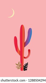 Abstract cactus color with sun set view