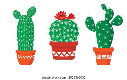  Abstract  cactuses flat color illustrations set .Detailed decorative  houseplants  in patterned pot .Various forms of cacti with  red flowers.Vector botanical design elements isolated on white.