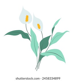 Abstract calla lily branch in flat design. Blooming white flowers with leaves. Vector illustration isolated.