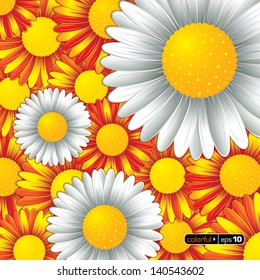 Abstract camomile