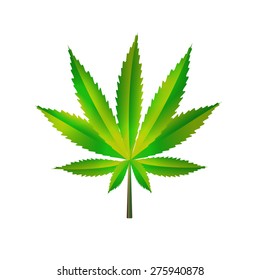 Abstract Cannabis Background Vector Illustration EPS10