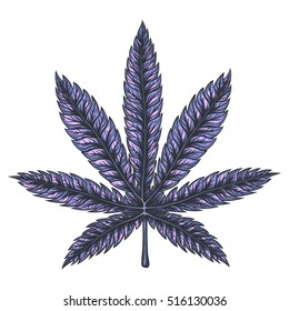 Abstract cannabis leaf. Hand drawn isolated illustration.
