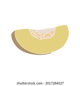 Abstract cantaloupe fruit, boho cantaloupe element isolated vector illustration, summer tropical fruit art