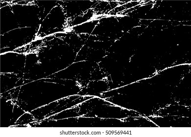 Abstract capillary texture. Ivy branches on a wall.