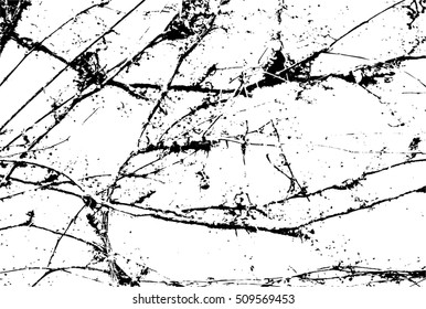 Abstract capillary texture. Ivy branches on a wall.