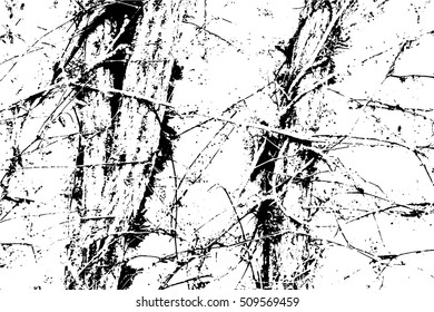 Abstract capillary texture. Ivy branches on a wall.