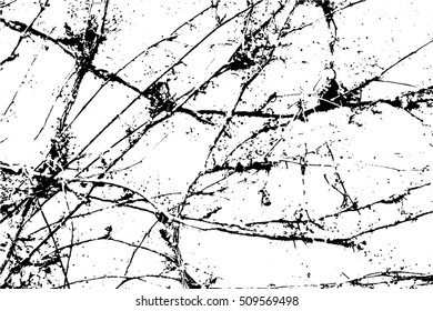 Abstract capillary texture. Ivy branches on a wall.