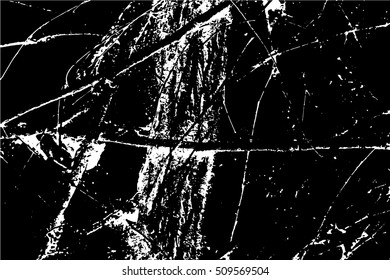 Abstract capillary texture. Ivy branches on a wall.