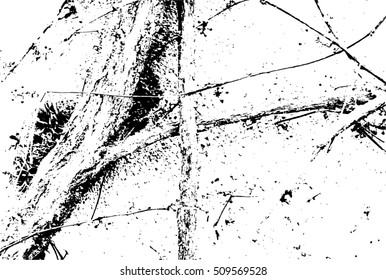 Abstract capillary texture. Ivy branches on a wall.
