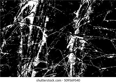 Abstract capillary texture. Ivy branches on a wall.
