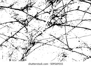 Abstract capillary texture. Ivy branches on a wall.