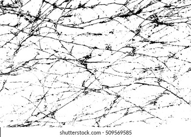 Abstract capillary texture. Ivy branches on a wall.