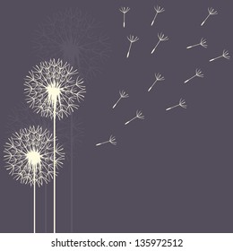 abstract card with dandelions vector background