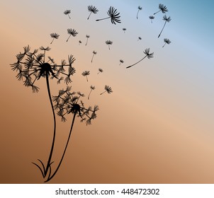 abstract card with dandelions vector background