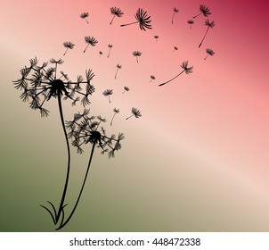 abstract card with dandelions vector background