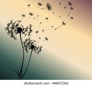 abstract card with dandelions vector background