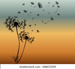 abstract card with dandelions vector background