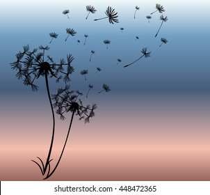 abstract card with dandelions vector background