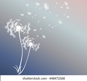 abstract card with dandelions vector background