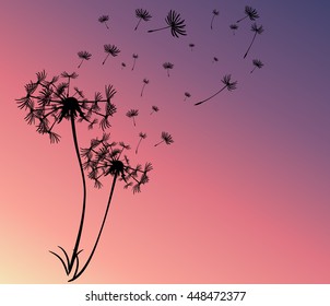 abstract card with dandelions vector background