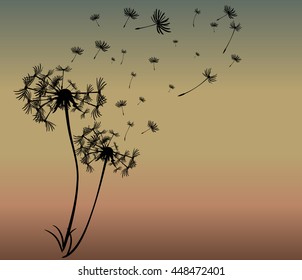abstract card with dandelions vector background