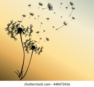 abstract card with dandelions vector background