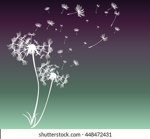 abstract card with dandelions vector background