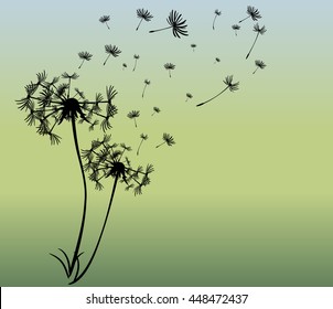 abstract card with dandelions vector background